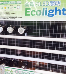 「Miyu-Light」（自社ブランド）