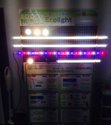 「Miyu-Light」（自社ブランド）